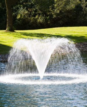 Fountains for Lakes & Farm Ponds